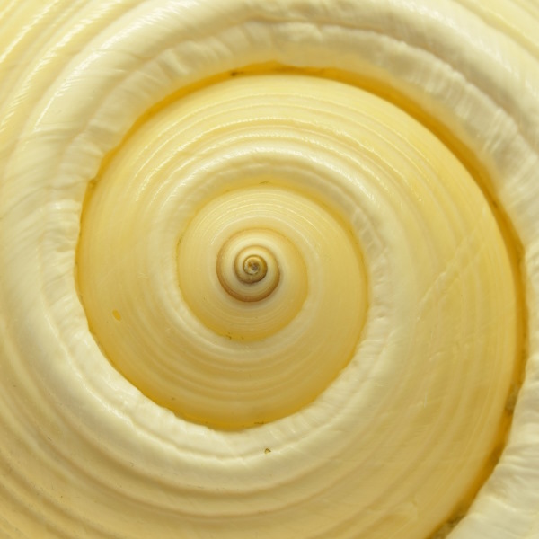 4ff3b6b7-1ef3-4f62-b8f5-b18f975bf864