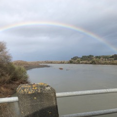 1c518fe7-4d0c-45e0-9ac7-c10e2adeea45