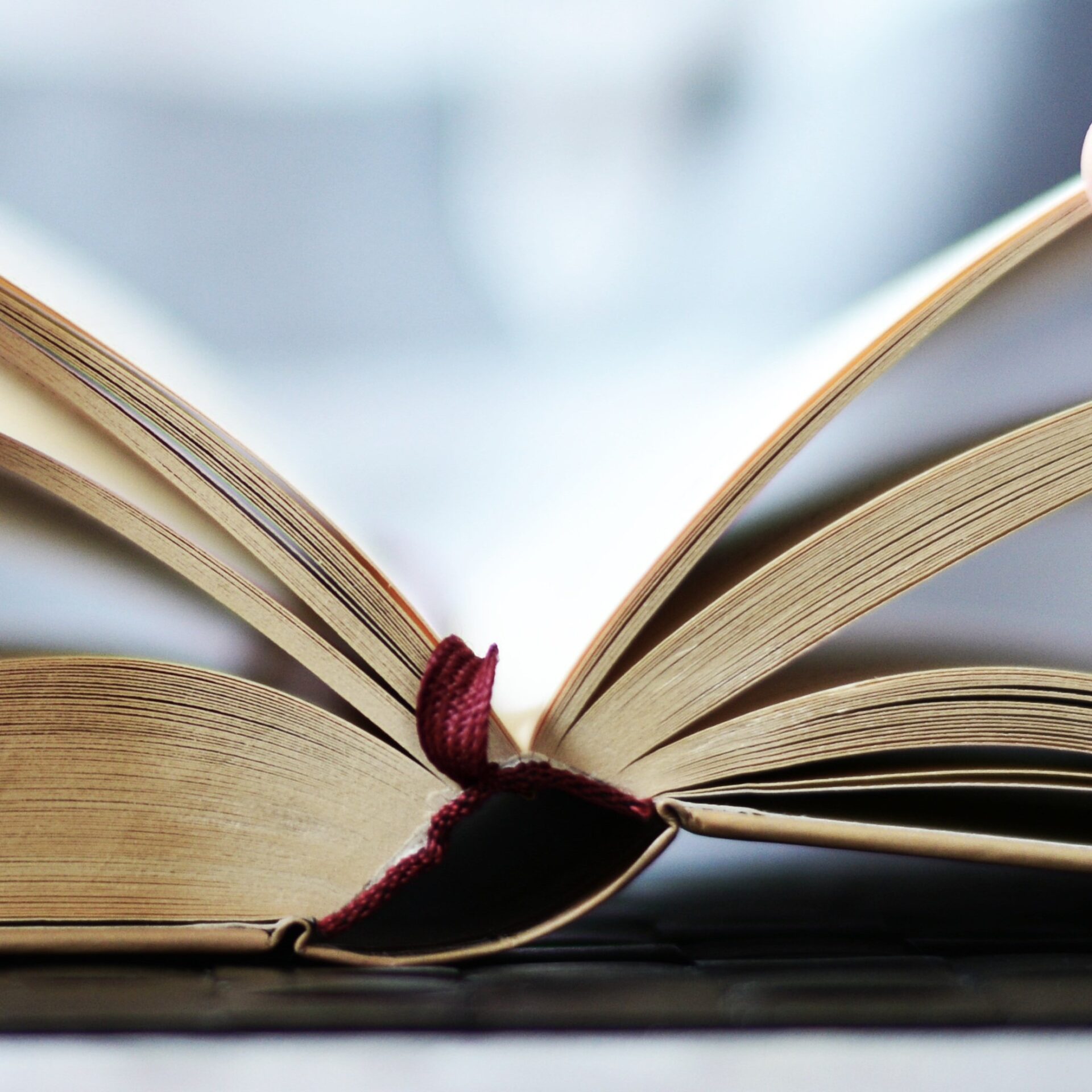 2e6be58c-d186-439c-84c8-e76c9650c116