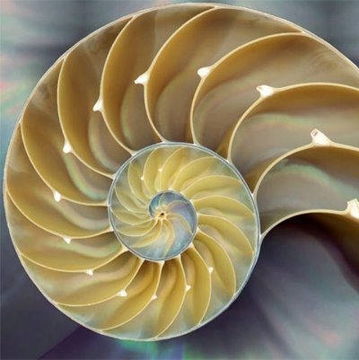 df9e8654-9946-4d97-962d-17353ba711d2